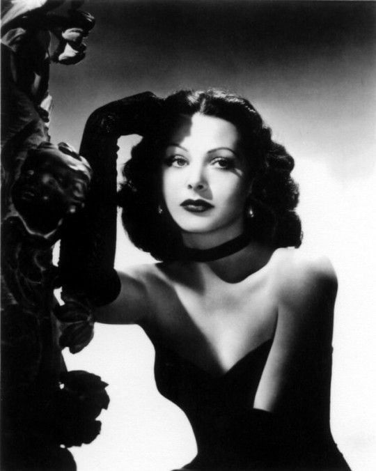 hedy