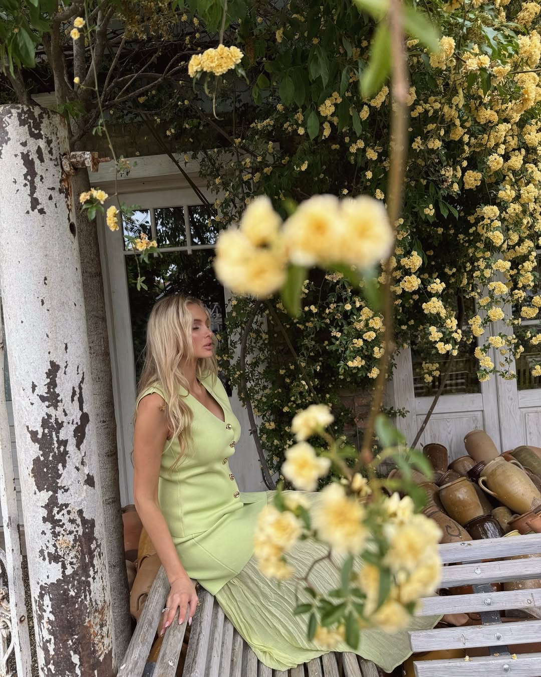 tamta_shedania