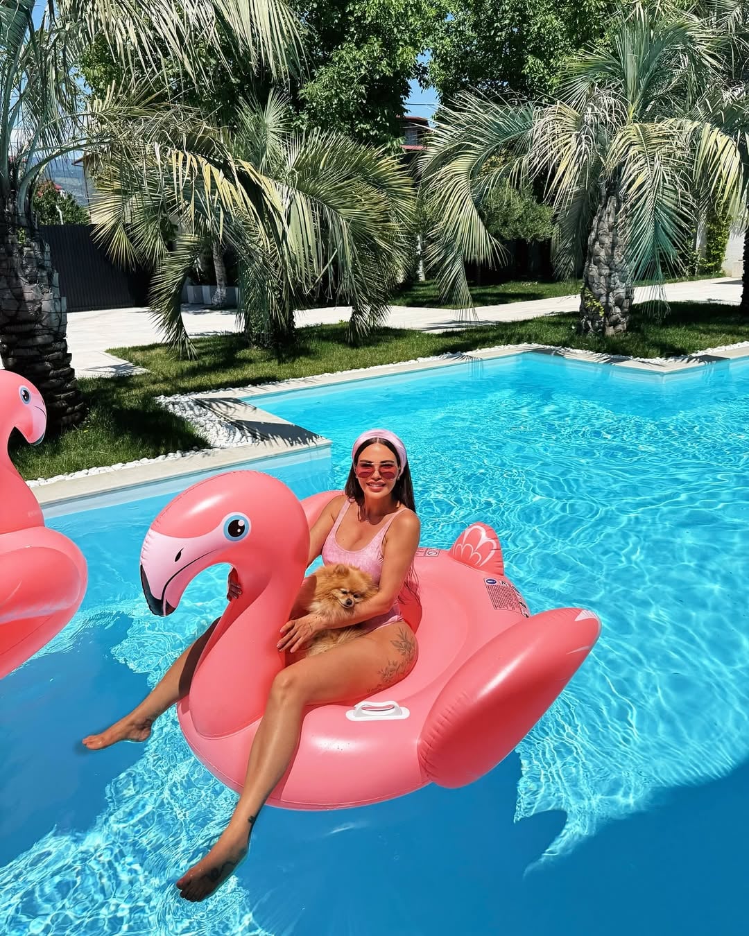 shorena_begashvilis