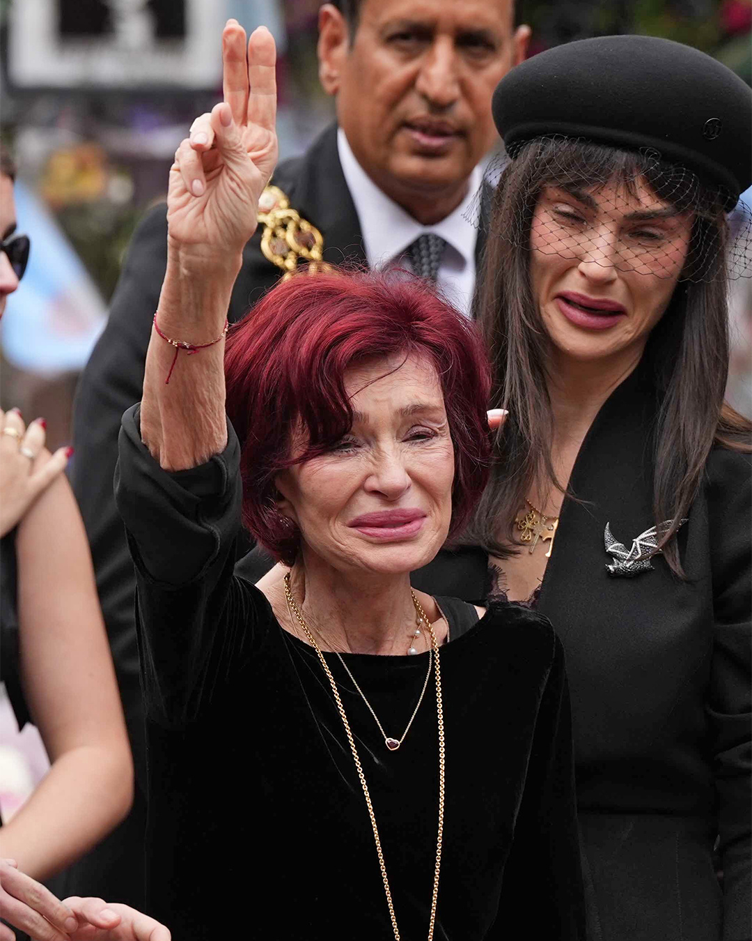 ozzy