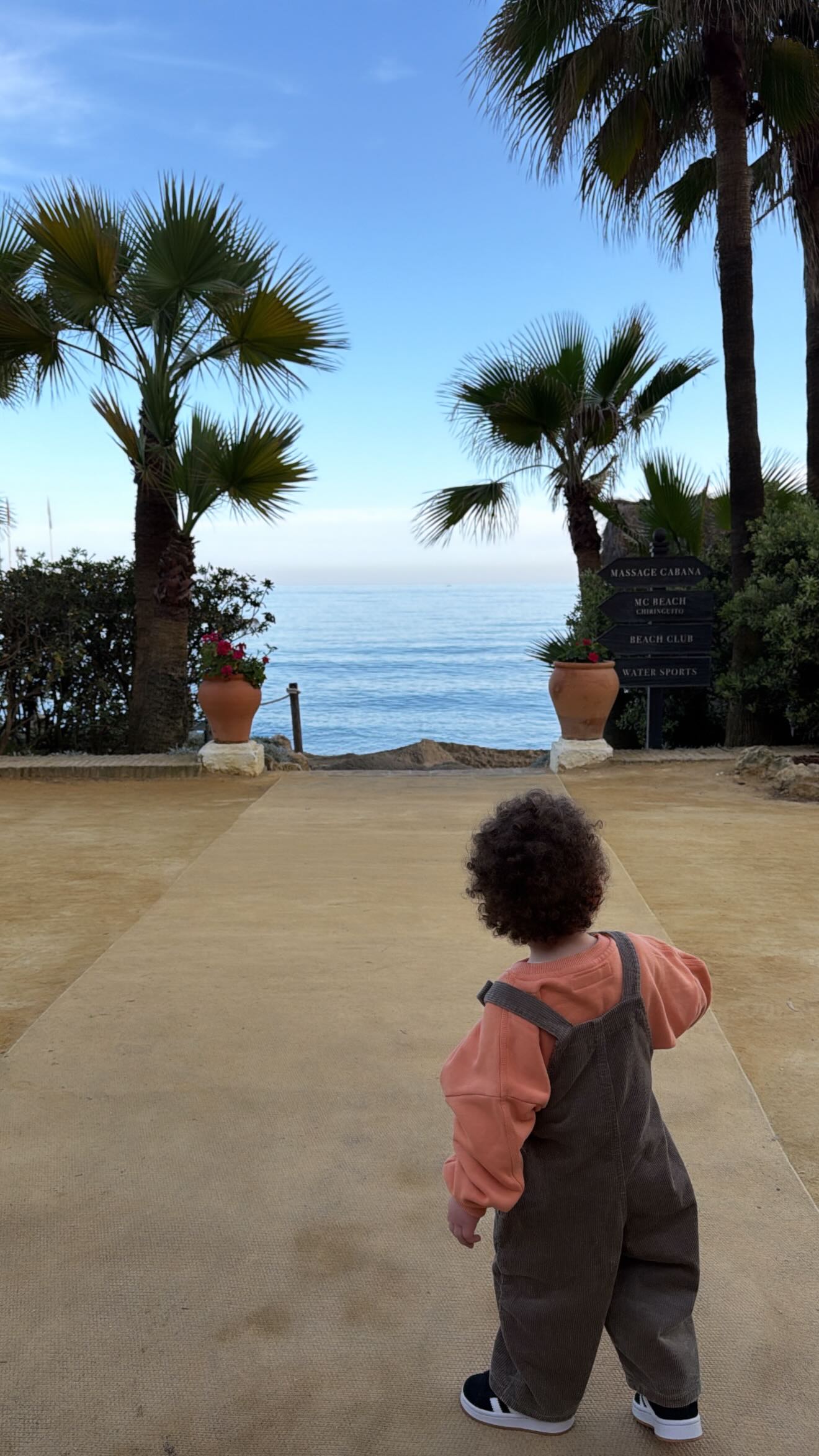 damiane-kvaratskhelia